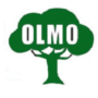logotipo pintoresolmo.es